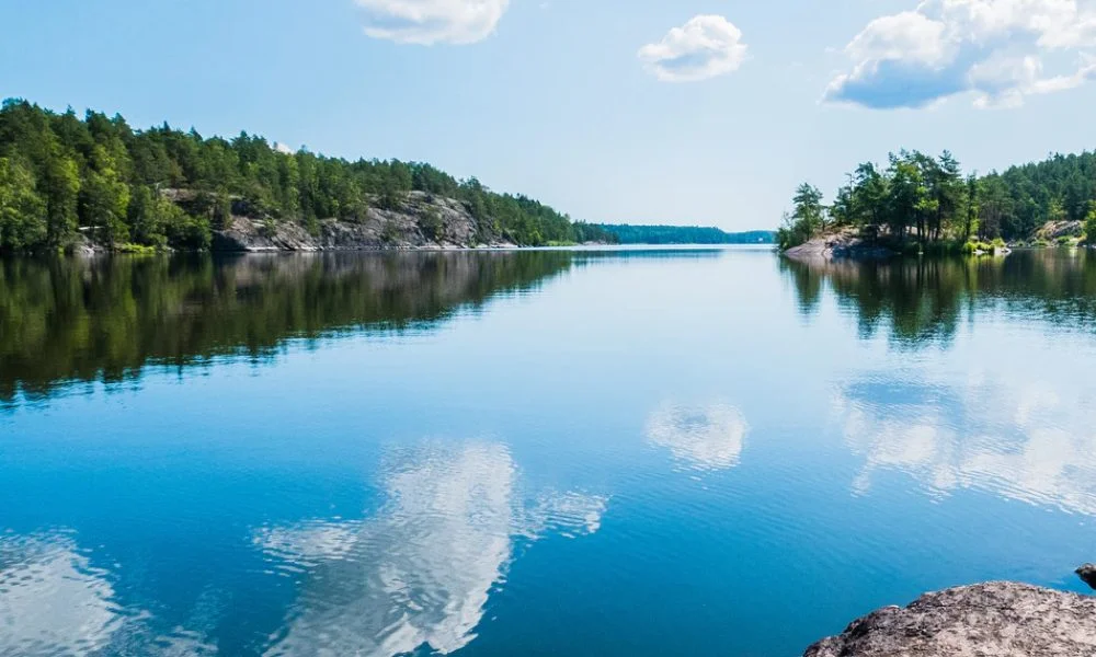 Naturmiljö – Hallstahammars Sotningsväsende värnar om naturen